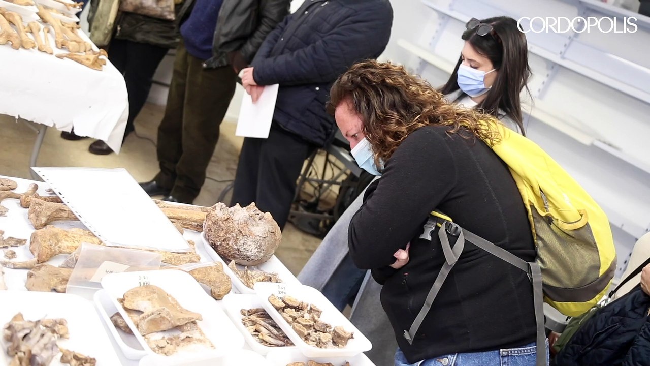 "Es el camino para cerrar heridas": las exhumaciones en la fosa de La Salud estudian ya a una docena de represaliados