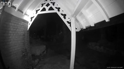 Yob fly-kicks door in Dane John Gardens, Canterbury