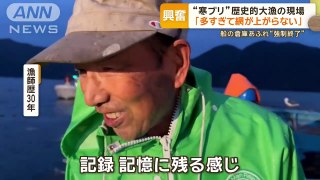 寒ブリ半値ほどに…歴史的豊漁で去年の7倍網が上がらない強者漁師も驚き光景もっと知りたいグッドモーニング(2024年1月31日)