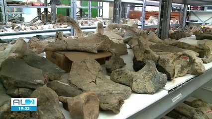 PALEONTOLOGIA EM ALAGOAS