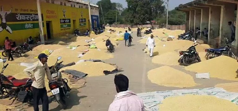 प्रतापगढ़ जिले की मंडियों में यह रहे भाव