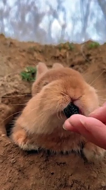 1000083878#Shortvideo