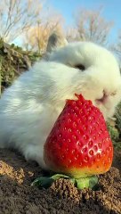 Shorts Video Highlights 🎥