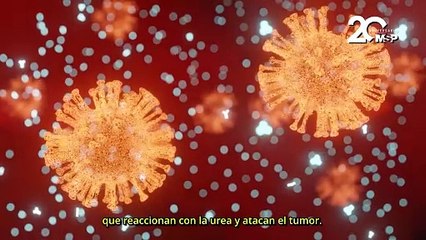 Nanorobots atacan los tumores de vejiga y los reducen en un 90%, según nuevo estudio - #ExclusivoMPS