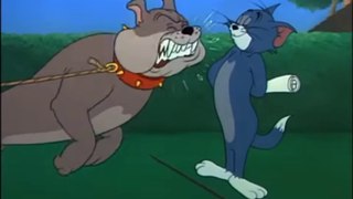 Funny Scene, Fit to be Tied | Tom and Jerry