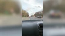 Horse spotted on motorway