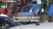 Брюссель допустил ограничения на закупки у Киева продовольствия