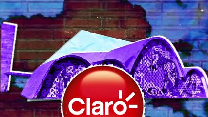 Ricardo Amado 31/01/2024