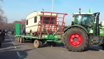 La protesta dei trattori a Brescia: anche una finta mucca con i colori Ue