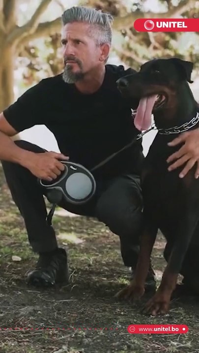 Sabías que, ¿Tener mascotas reduciría el riesgo de padecer demencia en mayores de 50 años? Esto dicen los expertos