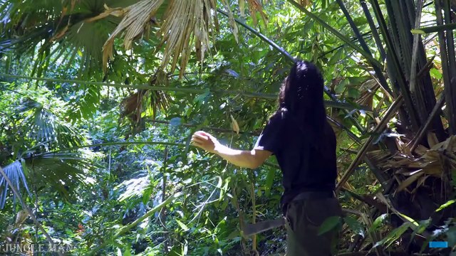 I choose to live in the forest instead of the city, where there are many birds chirping and the sound of mountains and rivers