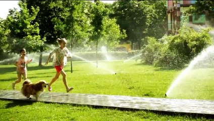 Amazing girls playing with dog  in the park