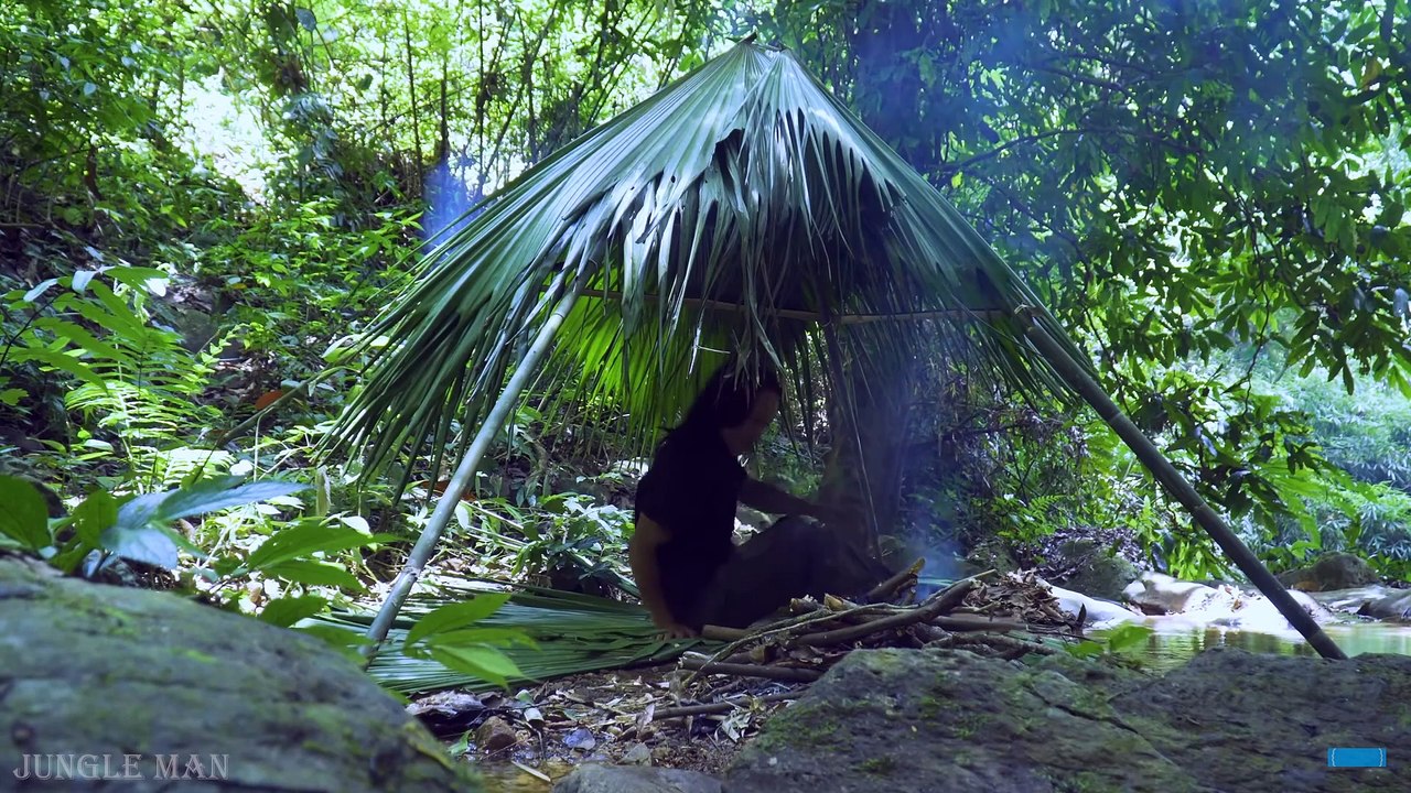 (Episode 3) I choose to live in the forest instead of the city, where there are many birds chirping and the sound of mountains and rivers