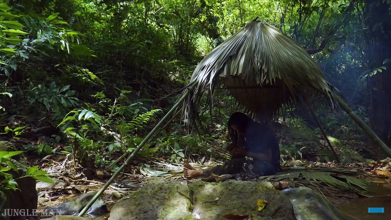 (Episode 5) I choose to live in the forest instead of the city, where there are many birds chirping and the sound of mountains and rivers