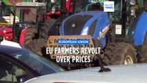 Brussels proposes to extend EU-Ukraine free trade. But restrictions on grain will be easier to slap
