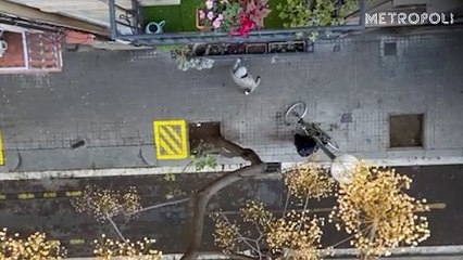 Peleas y venta de droga en un narcopiso junto al Hospital Clínic