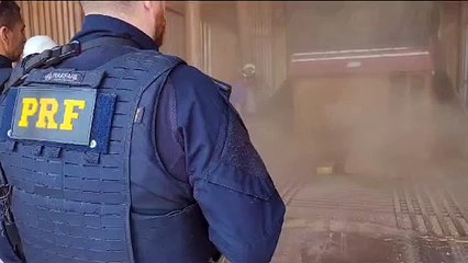 PRF localiza 3 toneladas de maconha que eram transportadas em meio a carga de milho