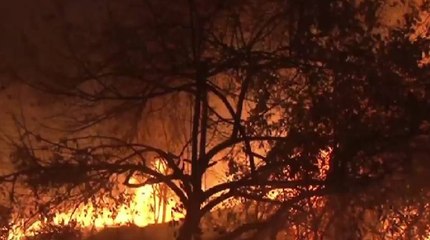 Departamento de Cesar sufre sin agua y con incendios: Serranía del Perijá está en llamas