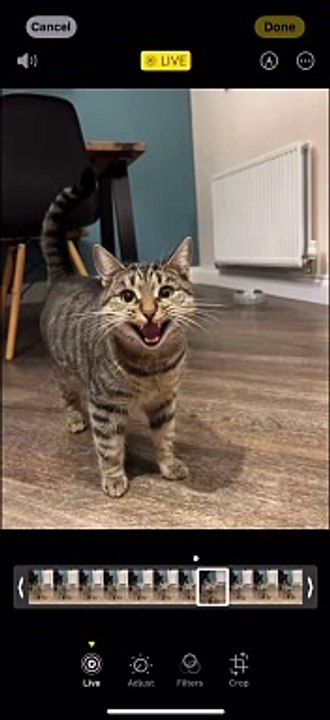Michael Catson