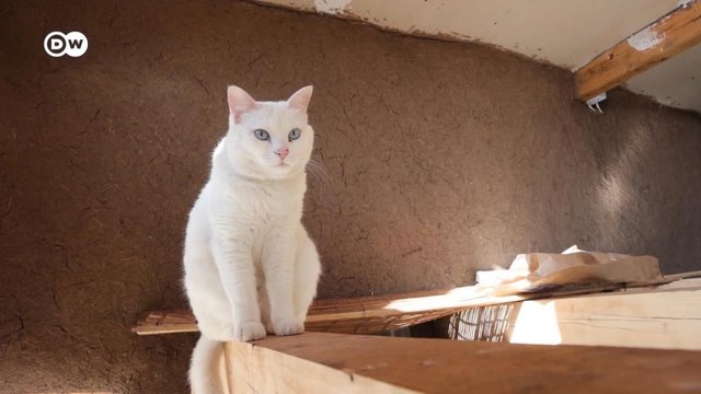Serbien: Leben in einem Haus aus Lehm und Stroh