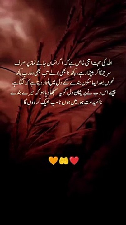 Na Umeed Mat hona ... Allah loves you ❣️