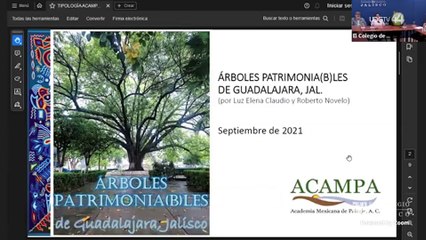 Árboles históricos, un legado a cargo de los ayuntamientos, destacan académicos de la UdeG
