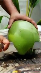 Asmr coconut satisfying cutting