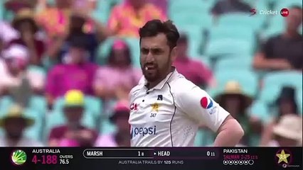 Pakistan vs Australia Highlights _ 3rd Test Day 3 2023-2024 _ pak vs aus