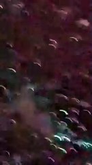 Hail and rain in winter season, watch video