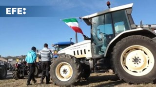 Continúan en Italia las protestas de los agricultores 