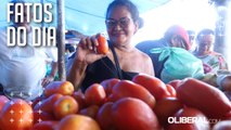 Dia do Tomate: conheça os benefícios da fruta para a saúde