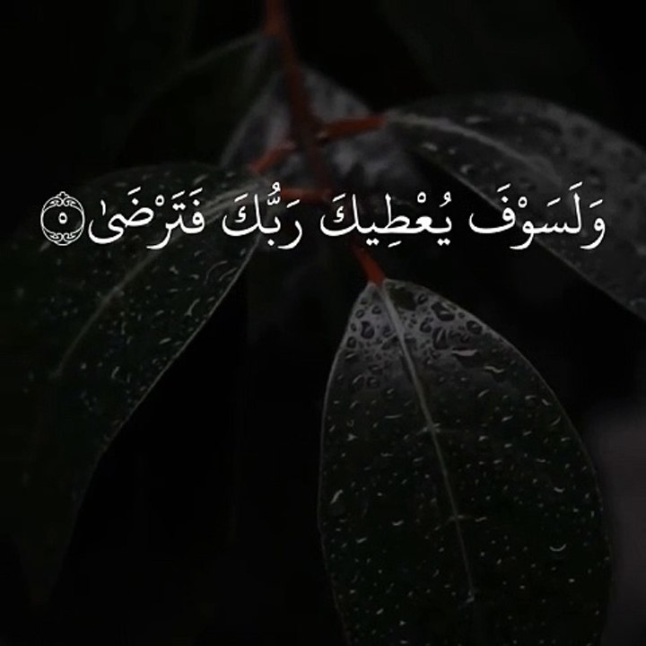حالات واتس اب قران بصوت القارئ ماهر المعيقلي _ وَلَسَوْفَ يُعْطِيكَ رَبُّكَ فَتَرْضَىٰ