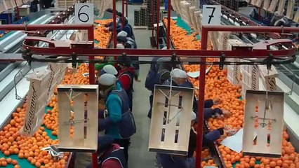 Tráiler del documental "Domingo, domingo", dirigido por Laura García.