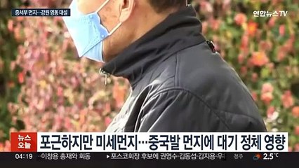 포근하지만 공기 '답답'…강원 영동 15㎝ 큰 눈