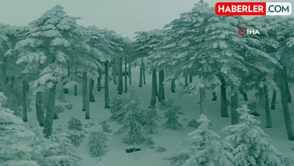 Kazdağı Milli Parkı'nda kar manzaraları