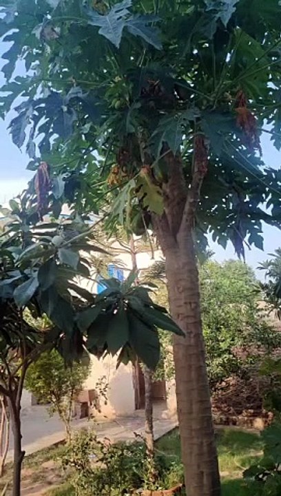 VID-20230703-WA0068