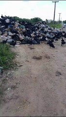 Moradores reclamam de má gestão de lixão em Itamaraju; saiba motivo