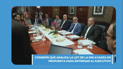 Comisión analiza la ley de DNI para entregar una propuesta al Poder Ejecutivo