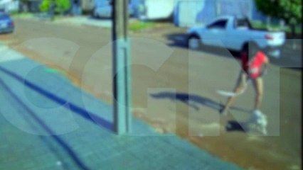 Chocante! Câmera flagra mulher dando paulada em cachorro no Colonial