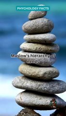 Maslow's Priorities||Psychology fact||Daily facts