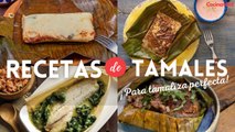 4 fáciles y rendidoras recetas de tamales para armar la tamaliza | Recetas mexicanas | Cocina Vital