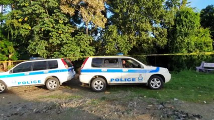 ONE MAN ARRESTED, MURDERS DOWN