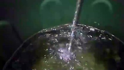 Water as the Source of Life