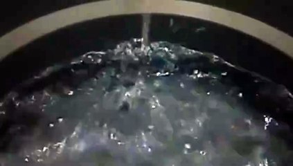 Water as the Source of Life