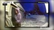 Baby moose tries to join Alaskan family shoveling their driveway