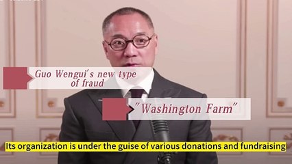 The Kwok scam only pits the ants