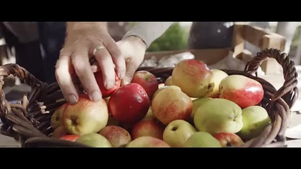 MY SAILOR MY LOVE Film