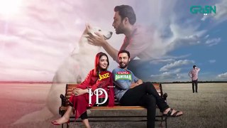 Idiot _ Episode 21 _ Presented By Tapal Danedar & Jazz _ 23rd Nov 23 [ Eng CC ] Green TV