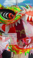 Lunar New Year 2024 explained