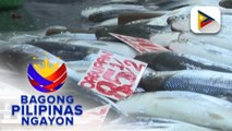 Presyo ng bangus at tilapia sa NCR nananatiling matatag ayon sa BFAR